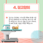 [카드뉴스] 용인시, 실외 사육견·길고양이 중성화 수술 지원…올바른 반려동물 문화 조성