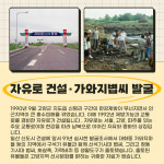 [카드뉴스] 응답하라 1992…시승격 30주년 고양의 과거愛 빠지다