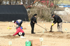 도심 속 농촌의 자연친화적 삶 위해…의왕시, 2022년 행복가꿈 주말농장 개장