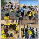 생태교육 활성화 위해…화성 동탄유치원, 숲체험 활동 수업