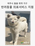 여주시, 돌봄 취약가구 반려동물 의료서비스 지원 사업 추진…가구당 최대 16만원 지급