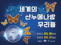 양평군 곤충박물관, 상반기 기획전으로 세계 산누에나방 무리 특별전 개최