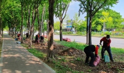 깨끗한 도시 이미지 제공…안산시, 국제거리극축제 맞아 중앙대로 녹지대 환경정비 실시