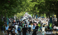 수원연극축제 보러 왔어요