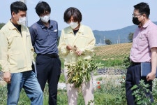 농업인들 고충 정취… 김보라 안성시장, 미양면·강덕리 일원 방문해 현장 살펴