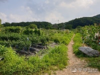 용인시 신봉2지구 도시개발사업 특혜 의혹