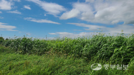엄주탁 평택시 오성면 당거리농장주 빚에 짓눌렸던 축산업, 경영회생지원 받고 버틸 수 있었죠