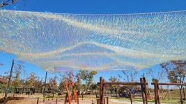 북극·남극에 온 것 같아요…평택시, 제1회 가을수확축제 기념 오로라 그늘막 설치