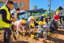 수확의 기쁨 느끼길… 인천 동구 화수1·화평동, 어린이 고구마 수확 체험 실시