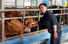 [농업왕 새농민] 정성철 김포 가현농장 대표 소는인생 그 자체… 아버지 뒤를 이어 뚜벅뚜벅 황소걸음