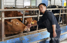 [농업왕 새농민] 정성철 김포 가현농장 대표 소는인생 그 자체… 아버지 뒤를 이어 뚜벅뚜벅 황소걸음