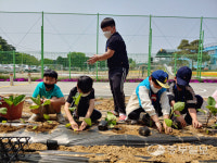 [즐거운 우리 학교] 안성 미양초, 작은 학교지만 넓은 자연이 우리 교실… 배움에 부족함이 없어요