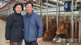[농업왕 새농민] 여주 민주농장 지웅길·황순자 대표, 30년 손발 맞춘 선녀와 나무꾼 부부… 전국 1등 소 만들고 싶다