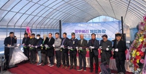 파주 마정리 블루베리 체험농장·얼음썰매장 개장…내년 2월 말까지 운영 예정