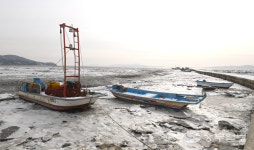 [화보] 한파로 결빙된 강화 바다