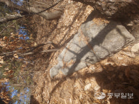 홀대 받는 의정부 향토문화재…엉터리 주소에 안내도 없는 화릉군 묘