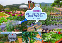 고향기부제 답례품 공공텃밭 드립니다…안성시 텃밭분양권 제공 눈길