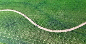 [중부포토] 동심만큼 푸르른 청보리밭