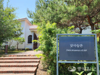 [리뷰] 새도 상념에 빠지게 하는 추상사진… 닻 미술관 주명덕 작가 사진전