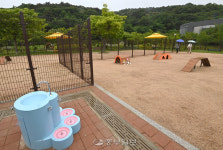 [중부포토] 월미공원 반려견 놀이터 임시 개방