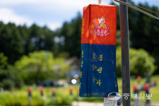 사시사찰누리길 | [경기도 전통사찰로 떠나는 마음소풍] 숲길로 내딛은 포행 끝자락… 곱고 우아한 연꽃이 '발그레'