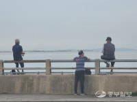인천대 인근 제방로 강태공들 사고 우려