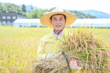 포천시, 군내면 유교리서 올해 첫 벼베기 행사