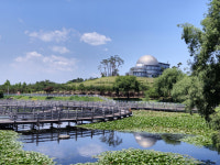 가을 낭만 즐기세요… 안성시, 안성맞춤랜드·안성팜랜드 추천