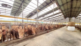 용인특례시, 축산 악취 개선 공모 선정… 원삼·백암에 7억2천만 원 투입