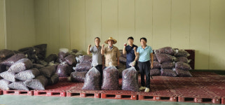 이천 대월농협, 건고추 수매로 조합원 수익 창출 선도