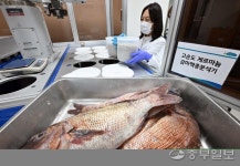 일본 오염수 2차 방류… 정부 모니터링 진행