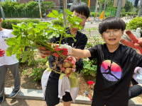 광명 충현초의 학교자율과정 생태교육 눈길