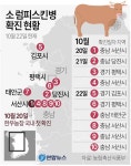 평택·김포 농장 소 럼피스킨병 잇따라 확진 '비상'