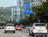 가로수에 가려진 표지판… 길 찾다 사고날라