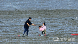 [우리동네 맛시장] 디지털·젊은 시장으로 변신 중…궁평항해오름수산시장