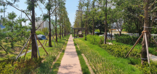 인천 미추홀구, 수인선 바람길 숲  산림청 모범 도시숲 인증