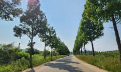 안산 대부바다향기테마파크, 사용 용도 확대로 조형물 설치·예술품 전시 가능해져