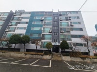 영남 사진 3
