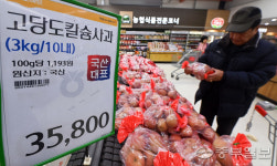 파는 사람도 비싸다고 느껴요… 과일값 상승에 소비자 한숨