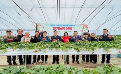 전진선 양평군수, 친환경 딸기 농장 방문… 발전 방향과 판로 확대 논의
