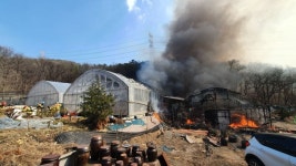 [종합] 군포 블루베리 비닐하우스 화재 1시간 반 만에 완진… 1명 경상