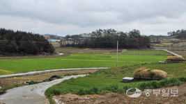 [김기자의 로드트레킹-서해랑길⑥] 진도대교와 울돌목을 거치는 서해랑길 5코스