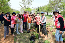인천 연수구, 봉재산서 연수구화 진달래 심기 행사