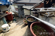 [포토에세이] 벽화마을