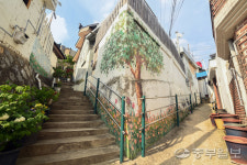 [포토에세이] 벽화마을