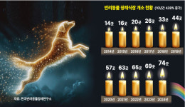 [현장 속으로] 또 하나의 가족 반려동물 장례 휴가냈더니 반려 되는 현실