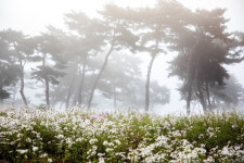 여주시 미술관 아트뮤지엄 려, 오는 22일 빛으로 그린 찰나의 순간을 담아내다 개최