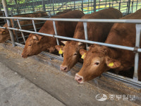 [경기도 농업왕] 홍승권 청송농장 대표 청년농 육성위한 체계적 인큐베이팅 절실