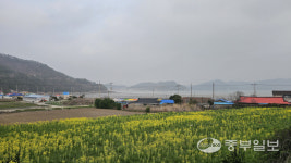 [김기자의 로드트레킹-서해랑길⑪] 진도 정체성 제대로 담긴 22km의 서해랑 8코스