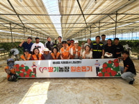 팽성읍 자원봉사 나눔센터, 주한미군과 딸기농장 일손 돕기 진행